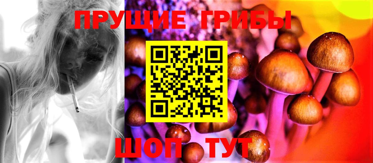 Псилоцибиновые грибы MAGIC MUSHROOMS  Галлюциногенные грибы прущие грибы  Осинники  Вход с VPN 
